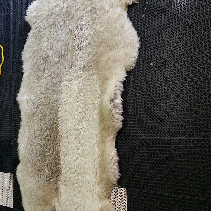 Before Rug Cleaning 2 1