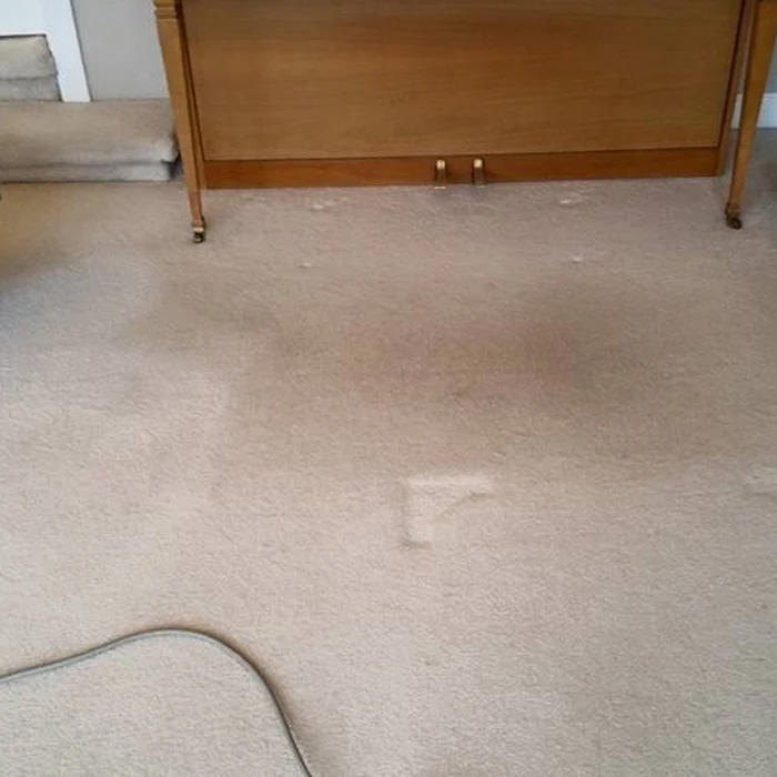 Before carpet cleaning 2 1 Before carpet cleaning 2 1