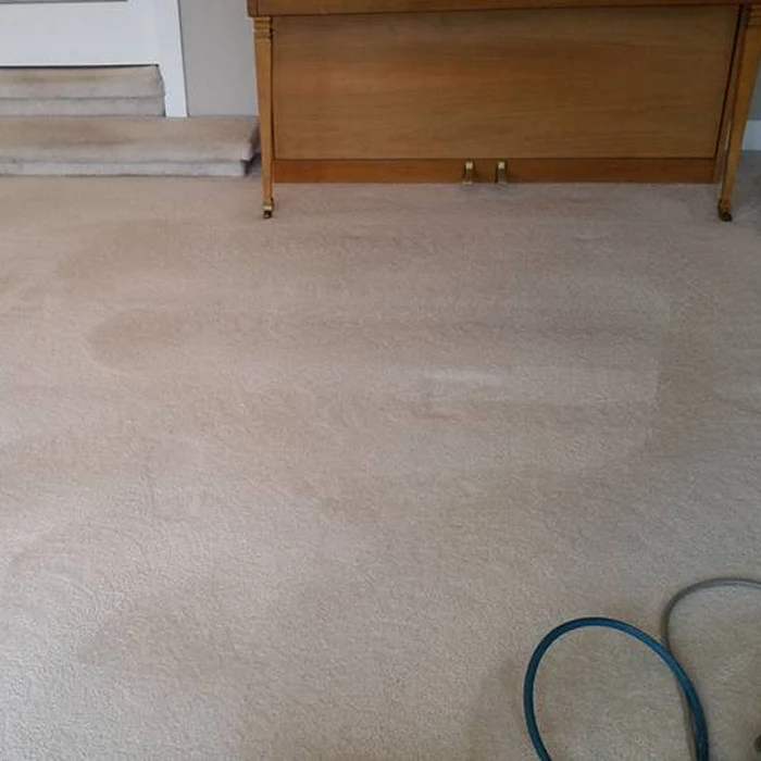 after carpet cleaning portland 2 1 after carpet cleaning portland 2 1