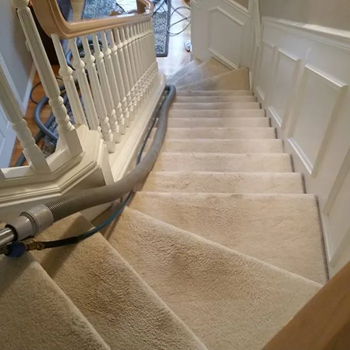 before carpet cleaning 1 1 before carpet cleaning 1 1
